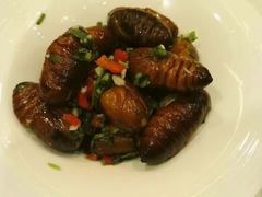 -渔娘渔家丹东海鲜(东直门店)