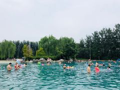 -柳浪游泳场