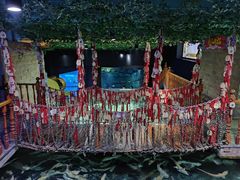 -成都浩海立方海洋公园