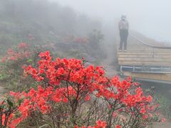 -广东天露山旅游度假区
