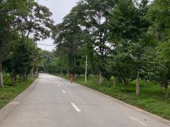 -长白岛森林公园