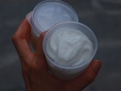 -洪馨椰子