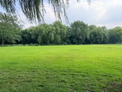 -白塔湖国家湿地公园