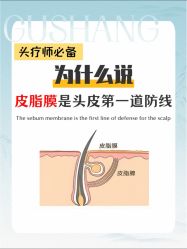 -Bollins波林丝•专研护发中心