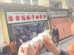 -洪馨椰子
