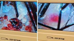 -Mr.JUDY洗个头发