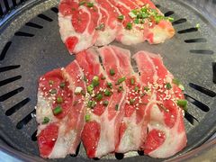 -杨记齐齐哈尔烤肉(总店)