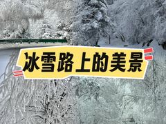 -秦岭风景区