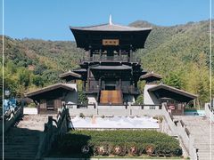 -大唐贡茶院