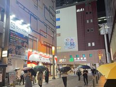-秋叶原电器街