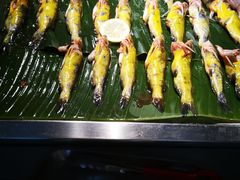 昂刺鱼-五月罗马海鲜自助餐厅(陆家嘴店)