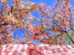 -西北湖绿化广场