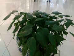 -方恒购物中心(望京小街店)