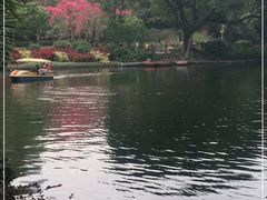 -晓港公园