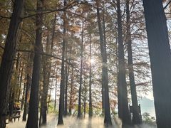-东湖落雁景区