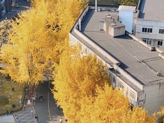 -四川大学(华西校区)