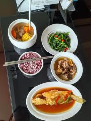 -臻康乃馨月子中心(凯宾斯基店)