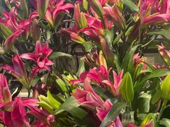 -山东嘉汇文化用品有限公司张店凤凰国际分公司(新村西路店)