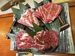 -肉魁屋·烧肉·烧鸟·酒场(高新店)
