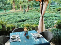 -野蔓果·山野菜(西湖景区·龙井茶田店)