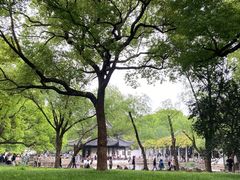 -西园戒幢律寺