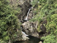 -海南热带雨林国家公园吊罗山景区