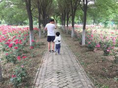 -汉景帝阳陵博物院