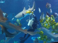 -太平洋海底世界