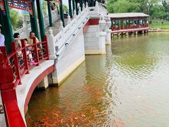 -西海子公园