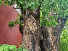 -胡氏古民居建筑