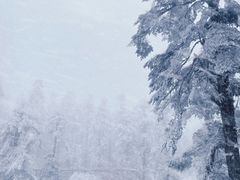-瓦屋山景区