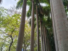 -竹子林(地铁站)