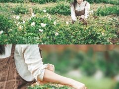 -三圣花乡旅游区