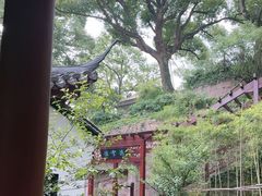 -西泠印社