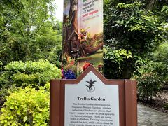 -新加坡植物园