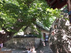 -青岛崂山太清宫