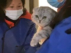 -伟伟宠物医院·CT影像中心·瑞派犬猫综合性门诊(汉口总院)
