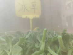 -重庆高老九火锅(万象城店)