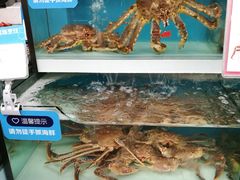 -盒马鲜生(大成店)