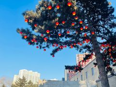 -长影旧址博物馆