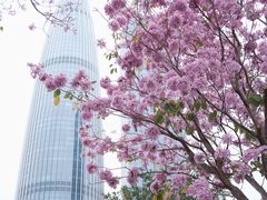 -深圳人才公园