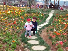 -绵阳盛世樱花悠乐谷