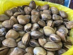 -小铜锣湾海鲜家常菜馆(河西店)