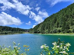 -武陵山森林公园
