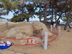 -老虎石海上公园