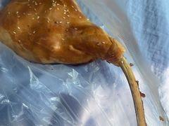 -老白家烧饼烤包子(清真寺店)