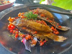 -小湘旺臭鳜鱼(百子湾店)