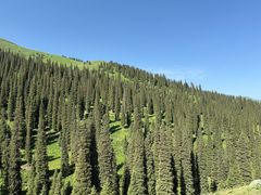 -新疆那拉提国家旅游度假区