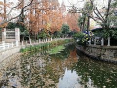 -兰溪青年公园