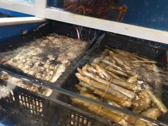 -盒马渔市(平高企业集团·平高广场店)